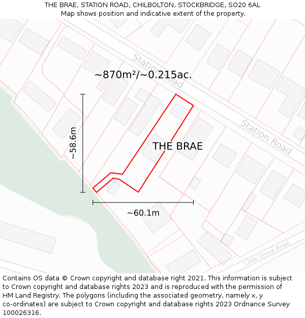 THE BRAE, STATION ROAD, CHILBOLTON, STOCKBRIDGE, SO20 6AL: Plot and title map