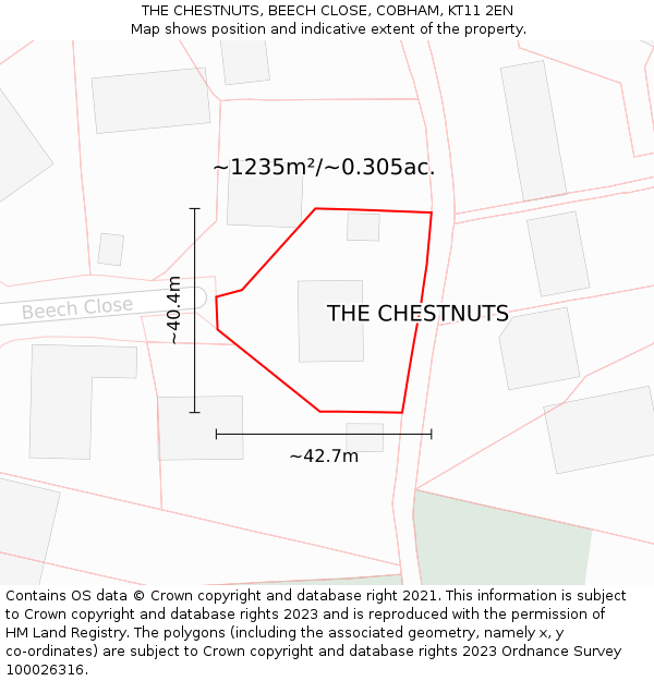 THE CHESTNUTS, BEECH CLOSE, COBHAM, KT11 2EN: Plot and title map