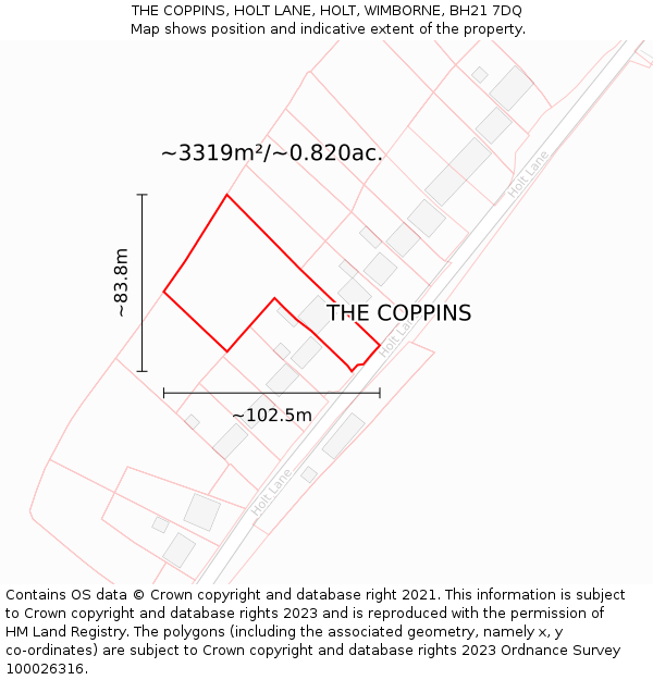 THE COPPINS, HOLT LANE, HOLT, WIMBORNE, BH21 7DQ: Plot and title map