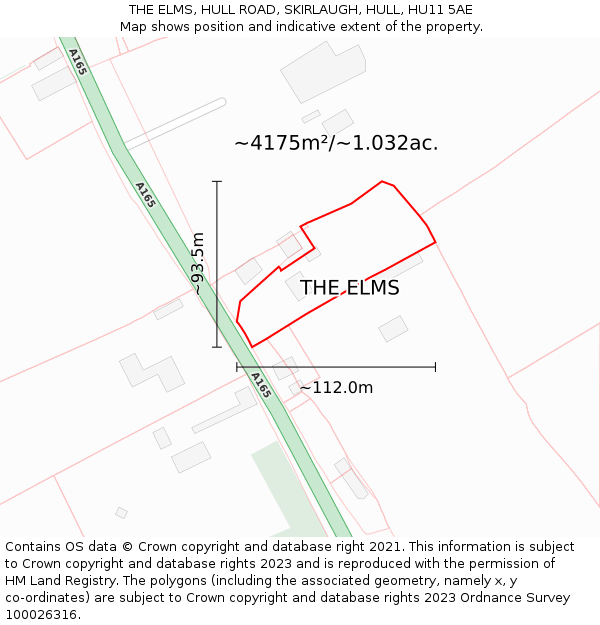 THE ELMS, HULL ROAD, SKIRLAUGH, HULL, HU11 5AE: Plot and title map