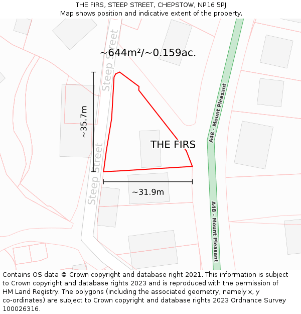 THE FIRS, STEEP STREET, CHEPSTOW, NP16 5PJ: Plot and title map