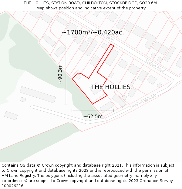 THE HOLLIES, STATION ROAD, CHILBOLTON, STOCKBRIDGE, SO20 6AL: Plot and title map