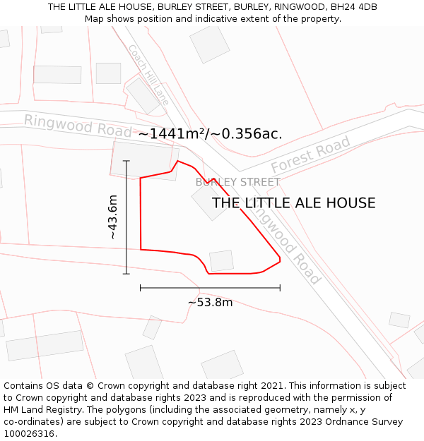 THE LITTLE ALE HOUSE, BURLEY STREET, BURLEY, RINGWOOD, BH24 4DB: Plot and title map