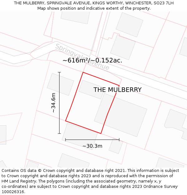 THE MULBERRY, SPRINGVALE AVENUE, KINGS WORTHY, WINCHESTER, SO23 7LH: Plot and title map