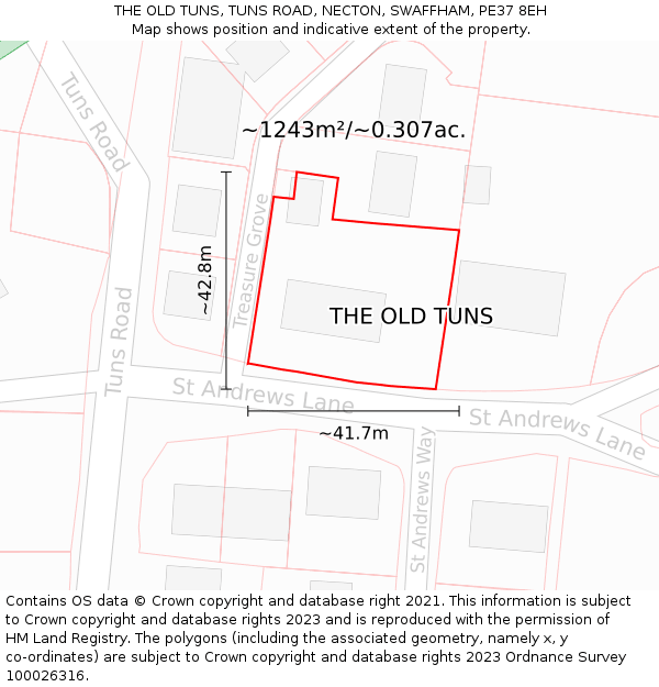 THE OLD TUNS, TUNS ROAD, NECTON, SWAFFHAM, PE37 8EH: Plot and title map