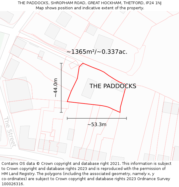 THE PADDOCKS, SHROPHAM ROAD, GREAT HOCKHAM, THETFORD, IP24 1NJ: Plot and title map