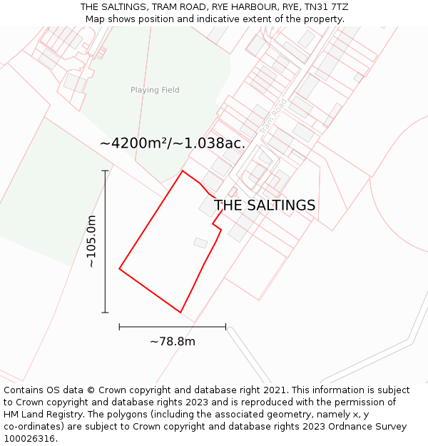 THE SALTINGS, TRAM ROAD, RYE HARBOUR, RYE, TN31 7TZ: Plot and title map