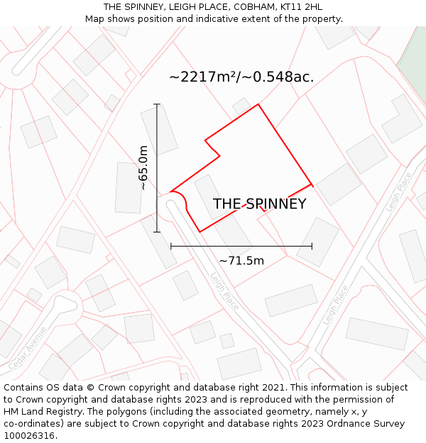 THE SPINNEY, LEIGH PLACE, COBHAM, KT11 2HL: Plot and title map