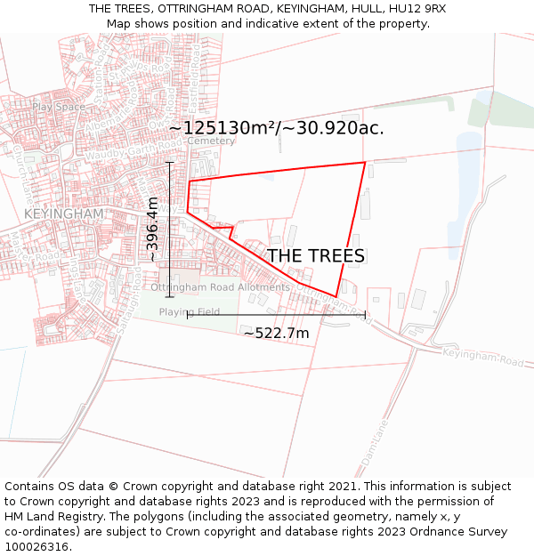 THE TREES, OTTRINGHAM ROAD, KEYINGHAM, HULL, HU12 9RX: Plot and title map