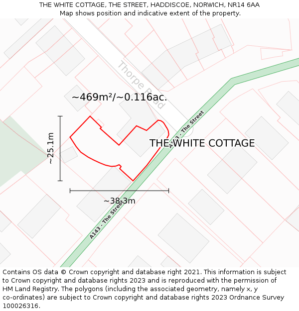 THE WHITE COTTAGE, THE STREET, HADDISCOE, NORWICH, NR14 6AA: Plot and title map