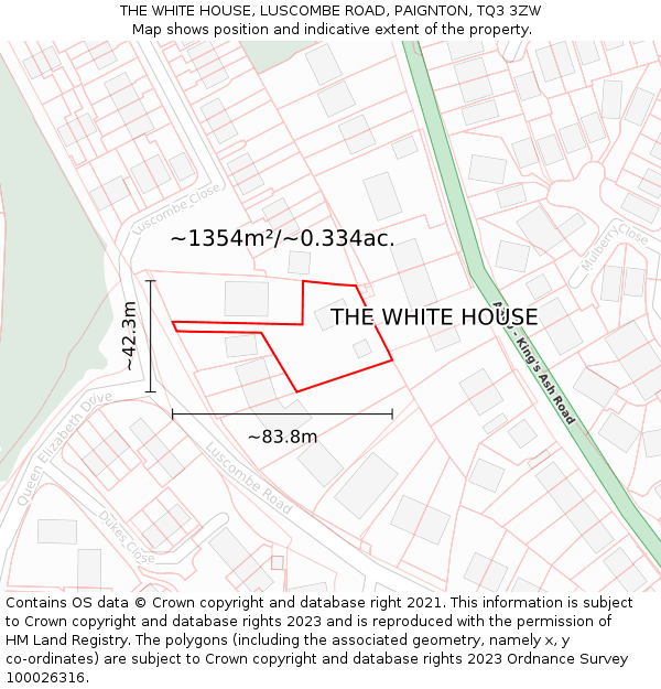 THE WHITE HOUSE, LUSCOMBE ROAD, PAIGNTON, TQ3 3ZW: Plot and title map