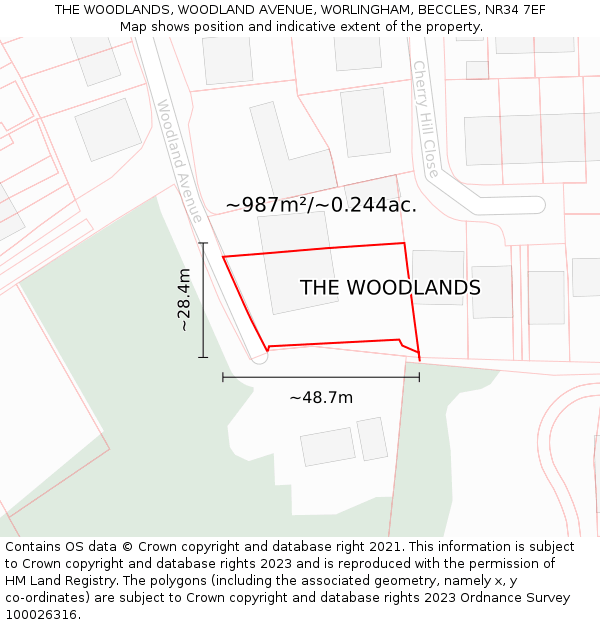 THE WOODLANDS, WOODLAND AVENUE, WORLINGHAM, BECCLES, NR34 7EF: Plot and title map