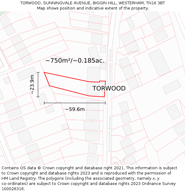 TORWOOD, SUNNINGVALE AVENUE, BIGGIN HILL, WESTERHAM, TN16 3BT: Plot and title map