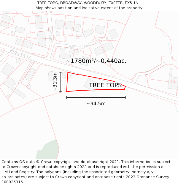 TREE TOPS, BROADWAY, WOODBURY, EXETER, EX5 1NL: Plot and title map