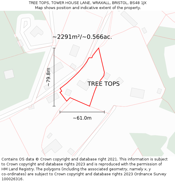 TREE TOPS, TOWER HOUSE LANE, WRAXALL, BRISTOL, BS48 1JX: Plot and title map