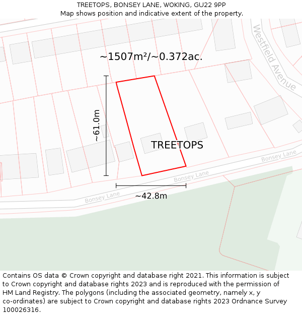 TREETOPS, BONSEY LANE, WOKING, GU22 9PP: Plot and title map