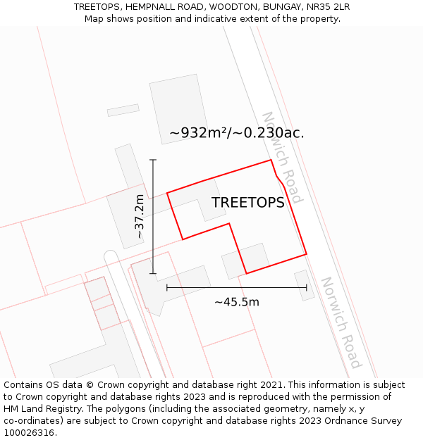 TREETOPS, HEMPNALL ROAD, WOODTON, BUNGAY, NR35 2LR: Plot and title map