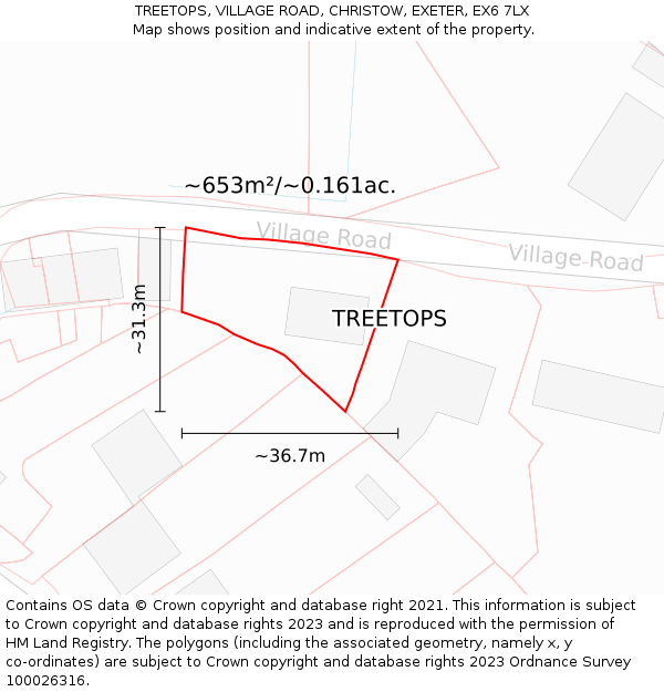 TREETOPS, VILLAGE ROAD, CHRISTOW, EXETER, EX6 7LX: Plot and title map