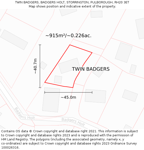 TWIN BADGERS, BADGERS HOLT, STORRINGTON, PULBOROUGH, RH20 3ET: Plot and title map