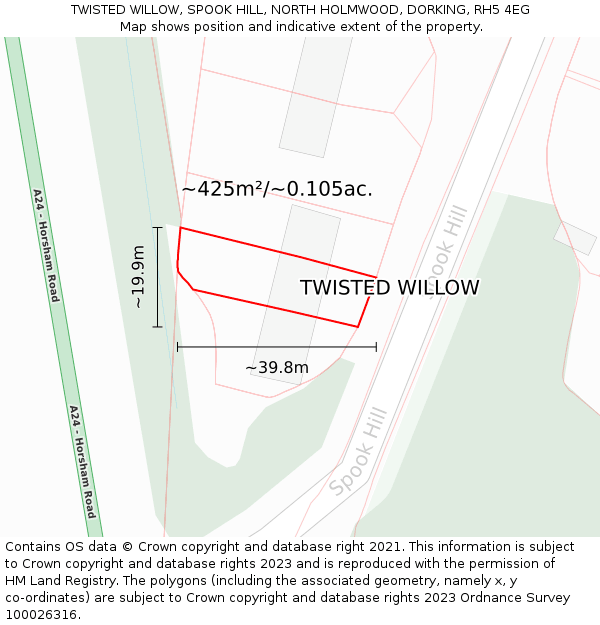 TWISTED WILLOW, SPOOK HILL, NORTH HOLMWOOD, DORKING, RH5 4EG: Plot and title map