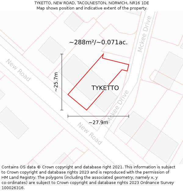 TYKETTO, NEW ROAD, TACOLNESTON, NORWICH, NR16 1DE: Plot and title map