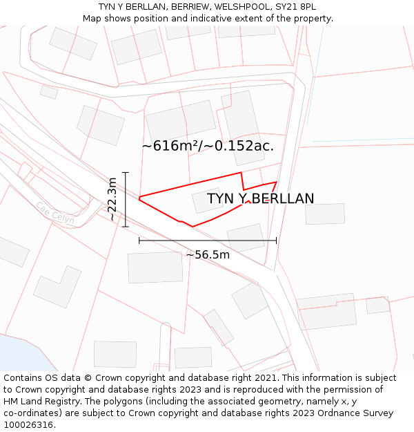 TYN Y BERLLAN, BERRIEW, WELSHPOOL, SY21 8PL: Plot and title map