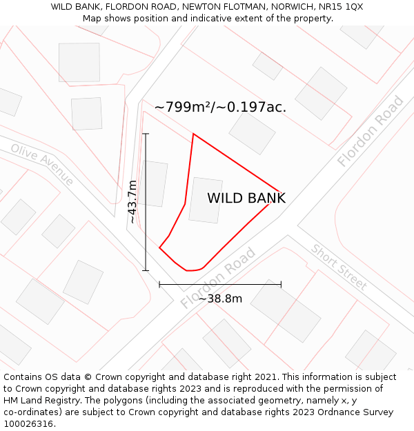 WILD BANK, FLORDON ROAD, NEWTON FLOTMAN, NORWICH, NR15 1QX: Plot and title map