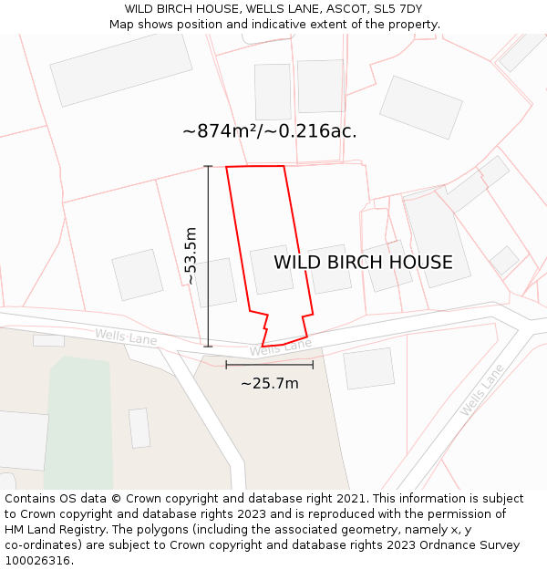 WILD BIRCH HOUSE, WELLS LANE, ASCOT, SL5 7DY: Plot and title map