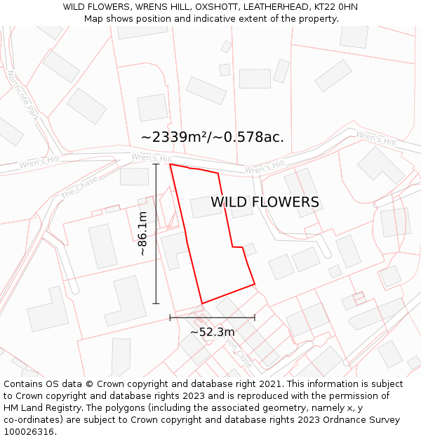 WILD FLOWERS, WRENS HILL, OXSHOTT, LEATHERHEAD, KT22 0HN: Plot and title map