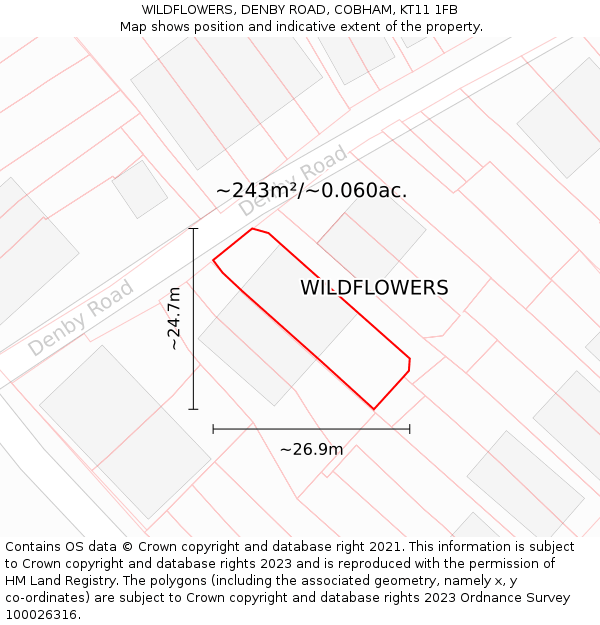 WILDFLOWERS, DENBY ROAD, COBHAM, KT11 1FB: Plot and title map