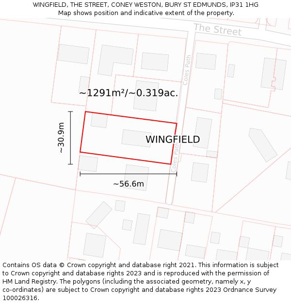 WINGFIELD, THE STREET, CONEY WESTON, BURY ST EDMUNDS, IP31 1HG: Plot and title map