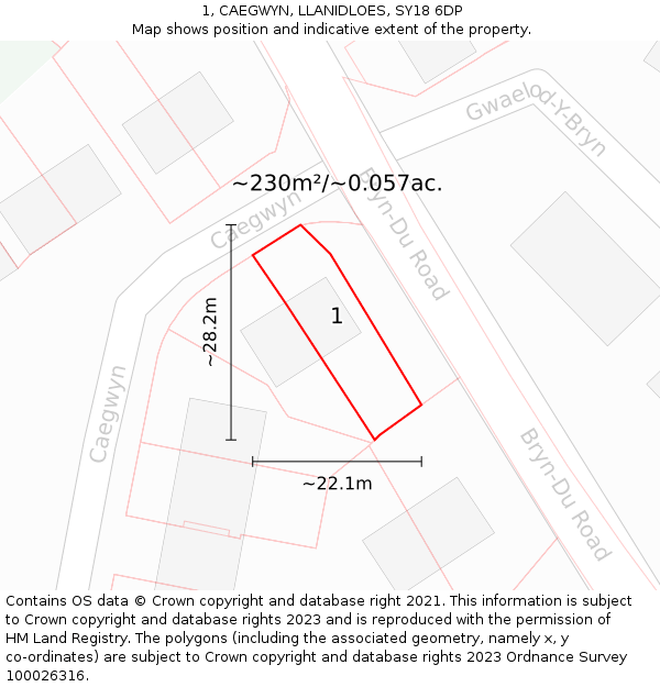 1, CAEGWYN, LLANIDLOES, SY18 6DP: Plot and title map