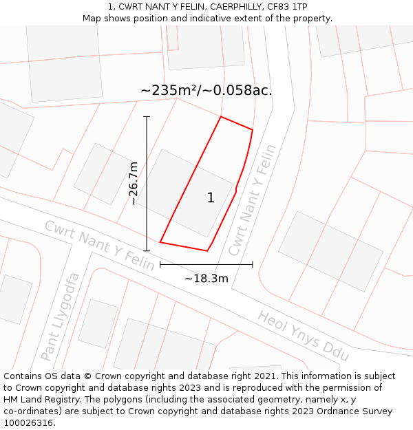 1, CWRT NANT Y FELIN, CAERPHILLY, CF83 1TP: Plot and title map