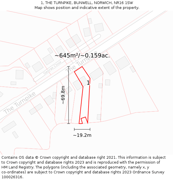 1, THE TURNPIKE, BUNWELL, NORWICH, NR16 1SW: Plot and title map