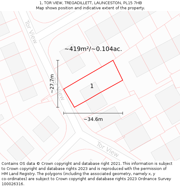 1, TOR VIEW, TREGADILLETT, LAUNCESTON, PL15 7HB: Plot and title map