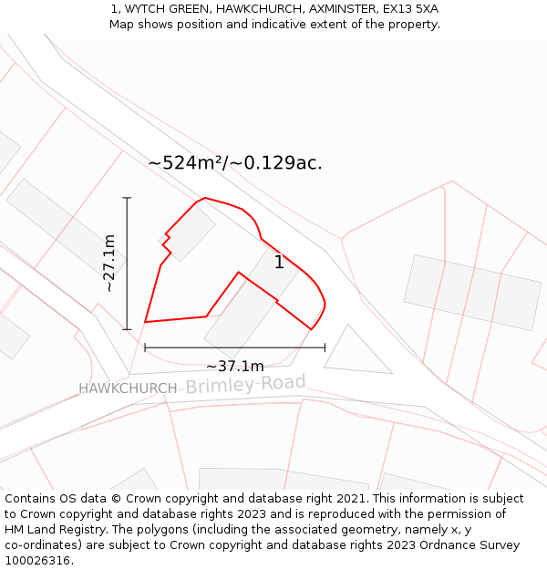 1, WYTCH GREEN, HAWKCHURCH, AXMINSTER, EX13 5XA: Plot and title map