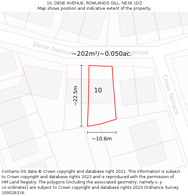 10, DENE AVENUE, ROWLANDS GILL, NE39 1DZ: Plot and title map