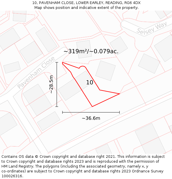 10, PAVENHAM CLOSE, LOWER EARLEY, READING, RG6 4DX: Plot and title map