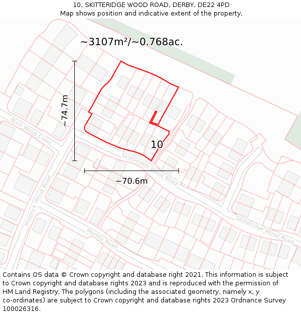 10, SKITTERIDGE WOOD ROAD, DERBY, DE22 4PD: Plot and title map