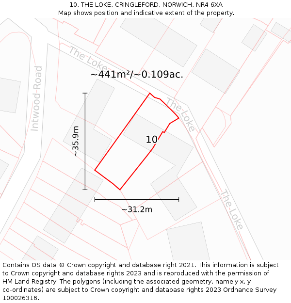 10, THE LOKE, CRINGLEFORD, NORWICH, NR4 6XA: Plot and title map