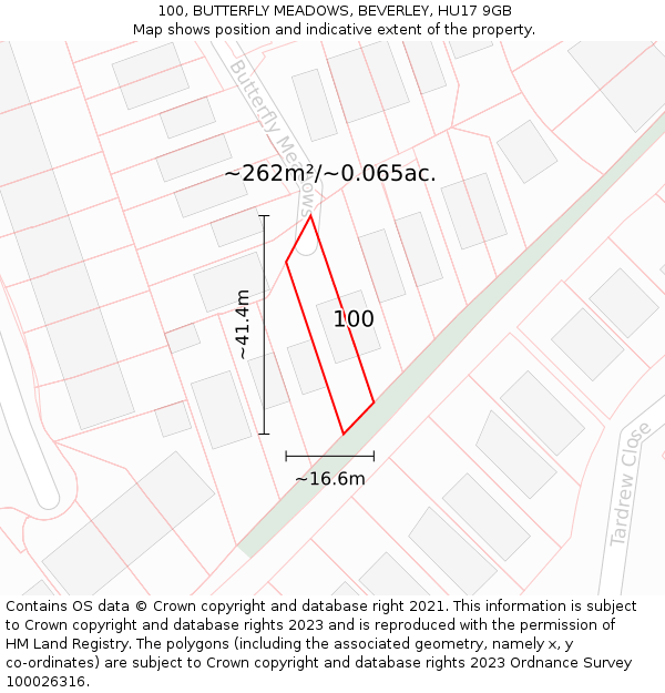 100, BUTTERFLY MEADOWS, BEVERLEY, HU17 9GB: Plot and title map