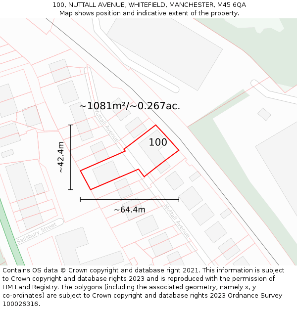 100, NUTTALL AVENUE, WHITEFIELD, MANCHESTER, M45 6QA: Plot and title map