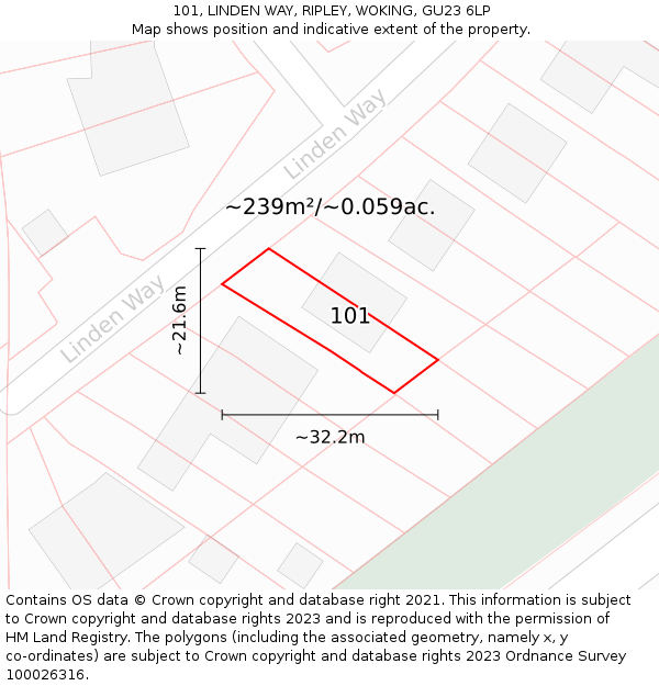 101, LINDEN WAY, RIPLEY, WOKING, GU23 6LP: Plot and title map