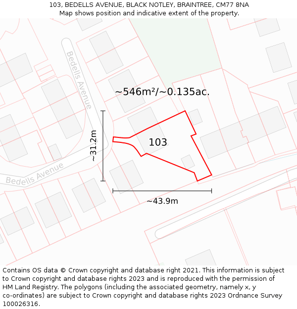 103, BEDELLS AVENUE, BLACK NOTLEY, BRAINTREE, CM77 8NA: Plot and title map