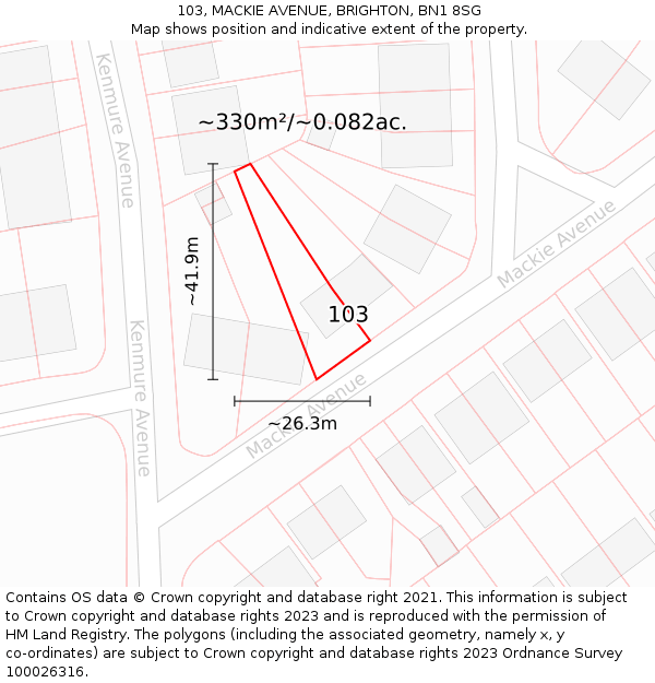 103, MACKIE AVENUE, BRIGHTON, BN1 8SG: Plot and title map