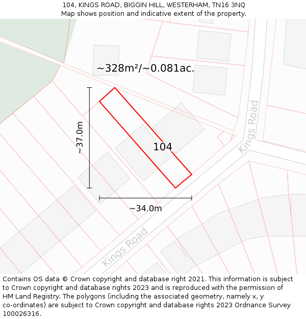 104, KINGS ROAD, BIGGIN HILL, WESTERHAM, TN16 3NQ: Plot and title map