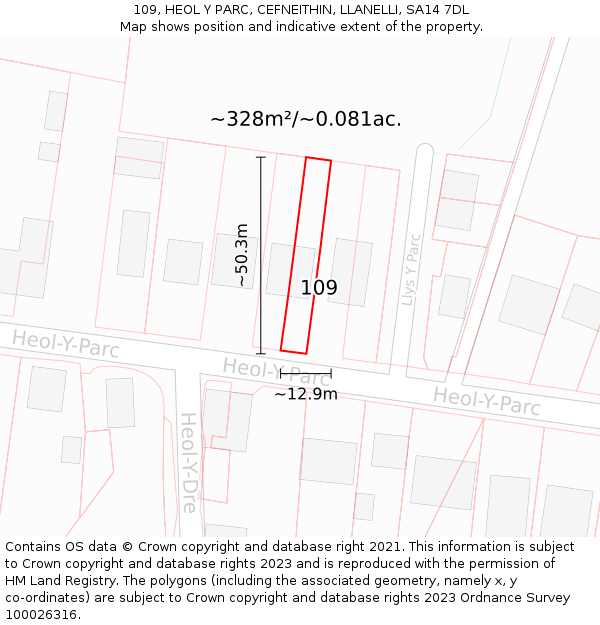 109, HEOL Y PARC, CEFNEITHIN, LLANELLI, SA14 7DL: Plot and title map