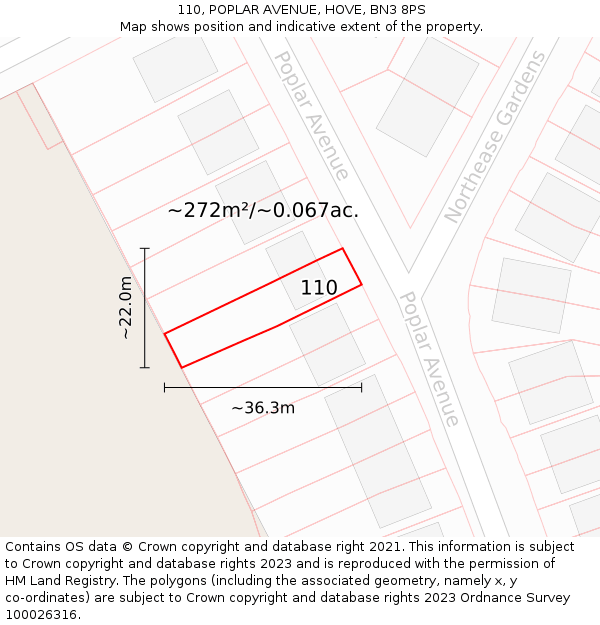 110, POPLAR AVENUE, HOVE, BN3 8PS: Plot and title map