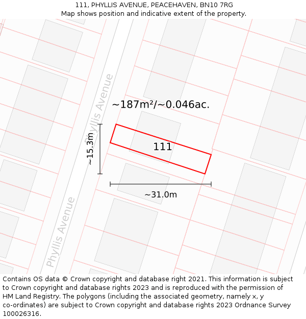 111, PHYLLIS AVENUE, PEACEHAVEN, BN10 7RG: Plot and title map