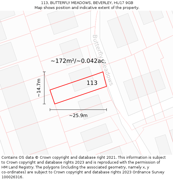 113, BUTTERFLY MEADOWS, BEVERLEY, HU17 9GB: Plot and title map